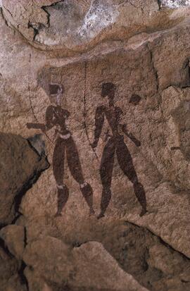 NASMUS SIMPSON RSA FUE1 17