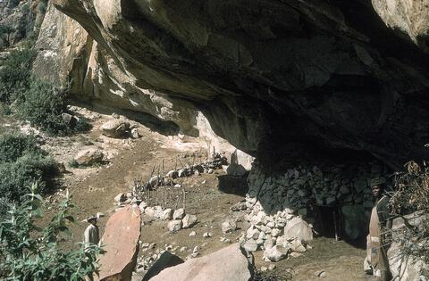 Open original Digital object