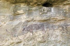 NASMUS SIMPSON RSA REE1 13