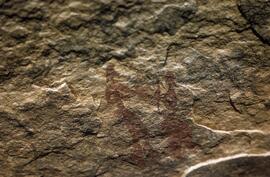 NASMUS SIMPSON RSA MOS18 6