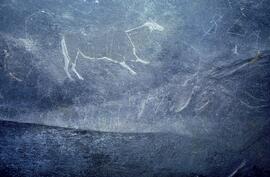 NASMUS SIMPSON RSA SKA1 1