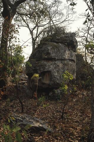 Open original Digital object