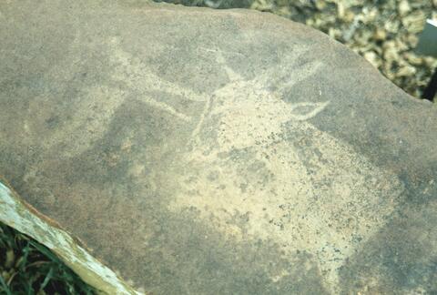 Open original Digital object