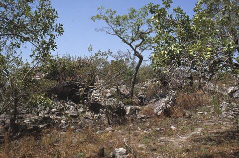 Open original Digitaal object