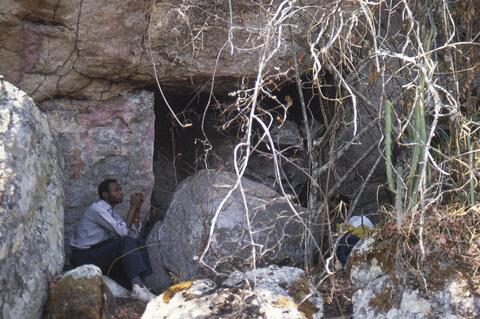 Open original Digital object