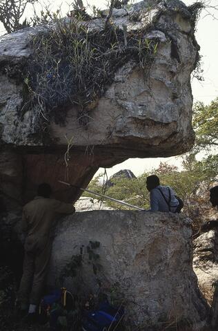 Open original Digital object