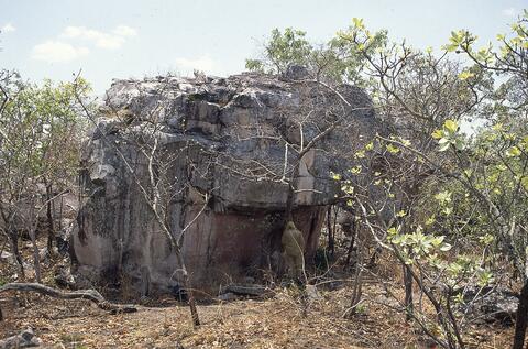 Open original Digital object