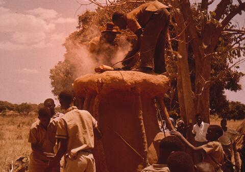 Open original Digital object