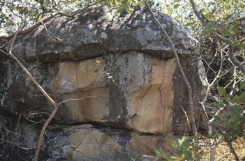 Open original Digital object