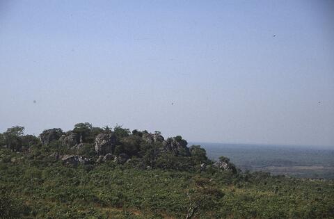 Open original Digital object