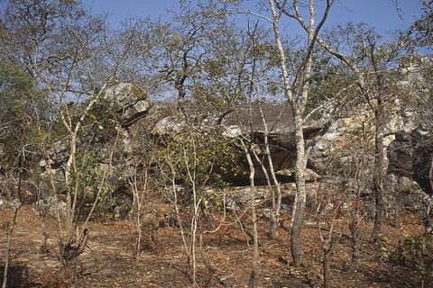 Open original Digital object