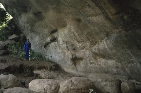 Open original Digital object