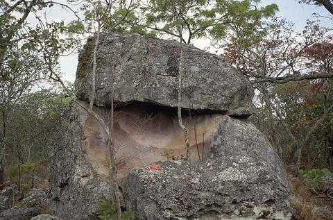 Open original Digital object