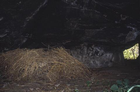 Open original Digital object