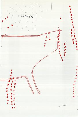 BWS 04 19R