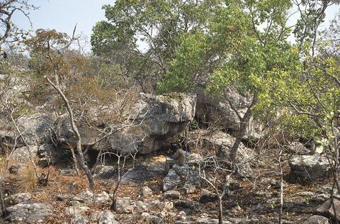 Open original Digital object