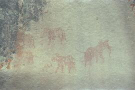 BWS ZIM PIK1 1