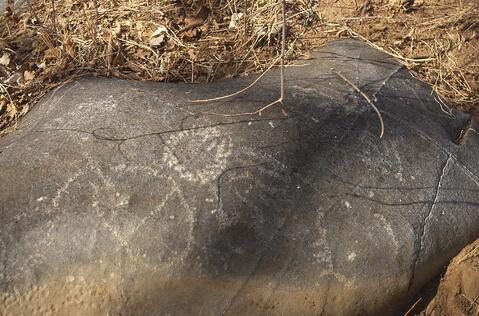 Open original Digital object