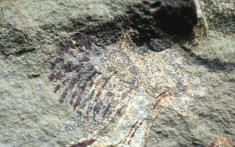 Open original Digitaal object