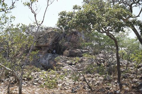 Open original Digital object