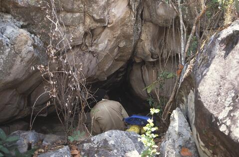 Open original Digital object