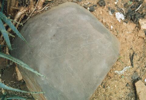 Open original Digital object