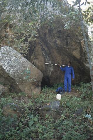 Open original Digital object