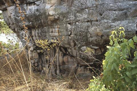 Open original Digital object