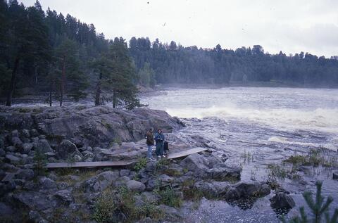 Open original Digital object