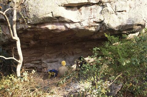 Open original Digital object