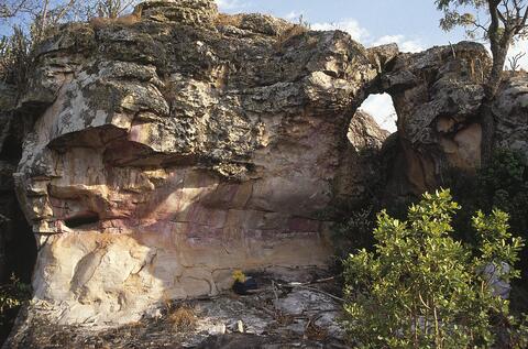 Open original Digital object