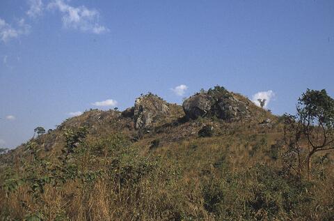 Open original Digital object