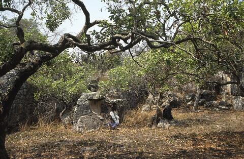 Open original Digital object