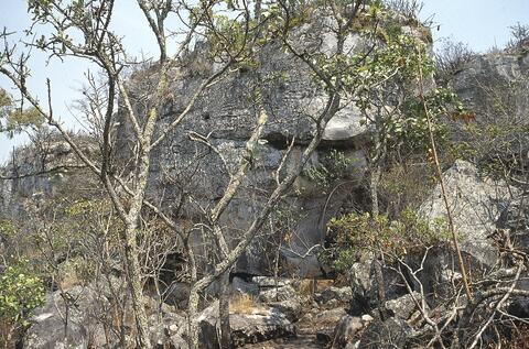 Open original Digital object