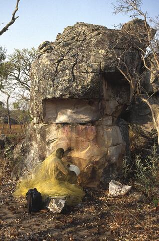 Open original Digital object