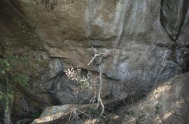 BWS MAL OMB1 3