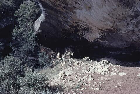 Open original Digital object