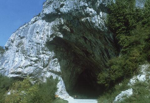 Open original Digital object