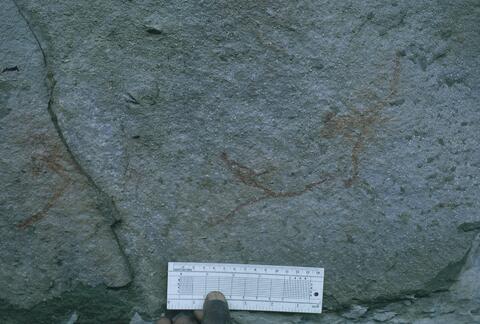 Open original Digitaal object