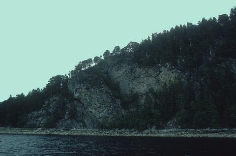 Open original Digital object