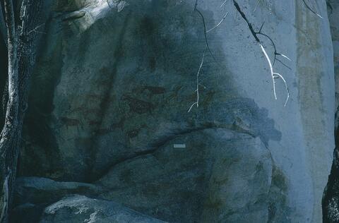 Open original Digital object