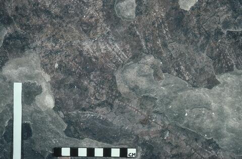 Open original Digitaal object