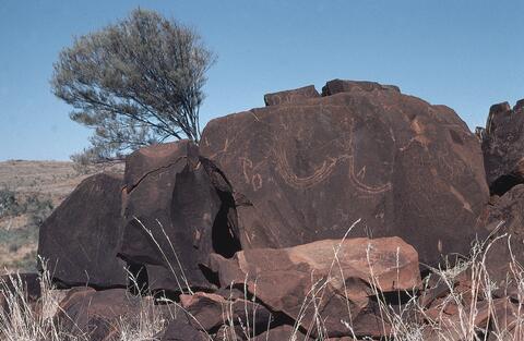 Open original Digital object