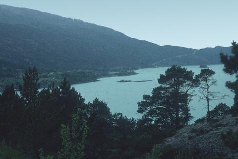 Open original Digital object