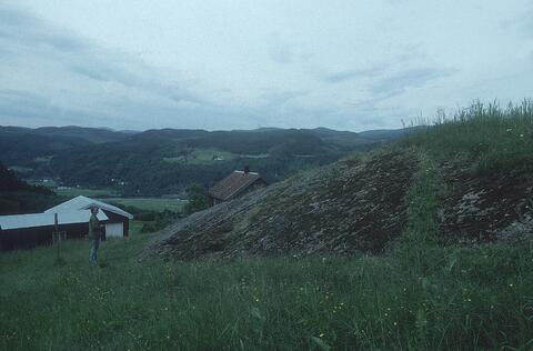 Open original Digital object