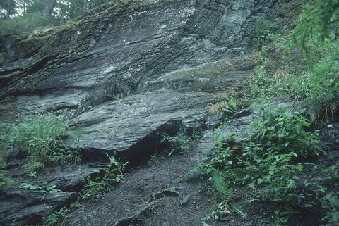 Open original Digital object