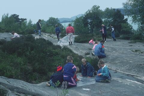 Open original Digital object