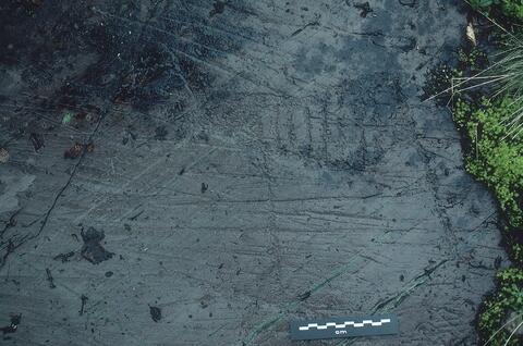 Open original Digitaal object