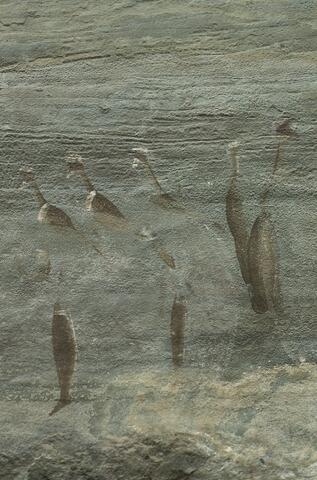 Open original Digitaal object