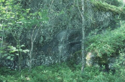 Open original Digital object